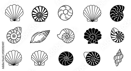 Seashell collection: assorted nautical shell designs in black and white