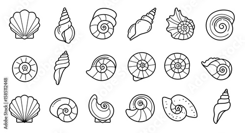 Black and white seashell designs set in outline style