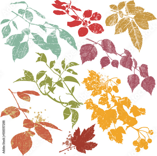 Autumn Leave Silhouettes with Leaf Vein and Splashes