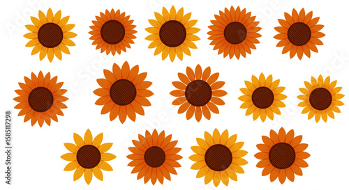 Seamless pattern of sunflowers in different shades for autumn design projects