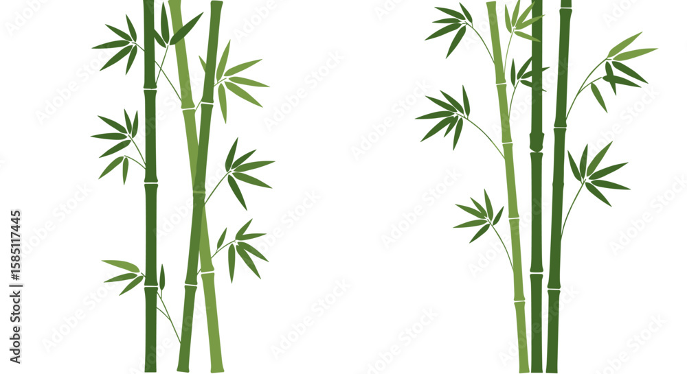 Obraz premium Green bamboo stalks with leaves on white background