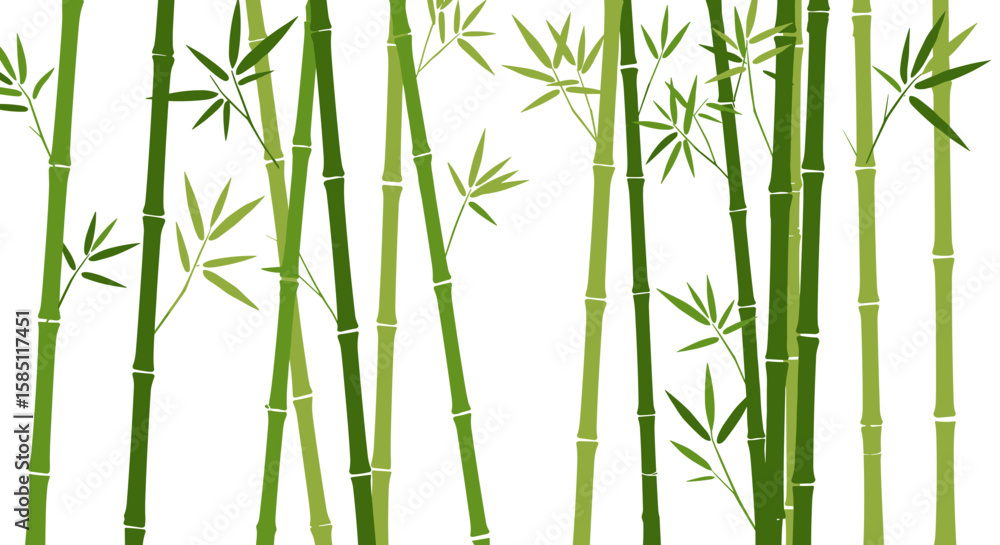 Obraz premium Green bamboo forest on white background: simple vertical stalks with leaves