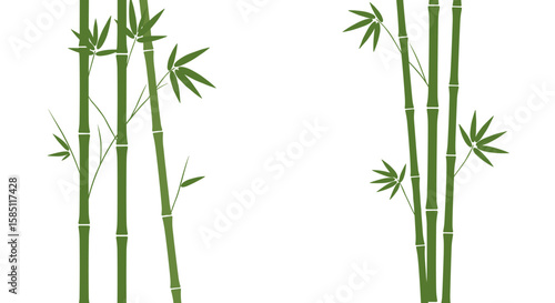 Green bamboo stalks on white background: elegant nature illustration