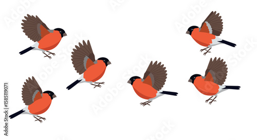 Colorful bullfinches in flight: dynamic flat design bird illustration