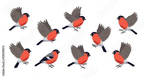 Colorful bullfinches in various flying and perching poses with flat design
