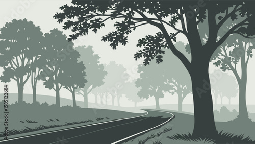 road in the forest 