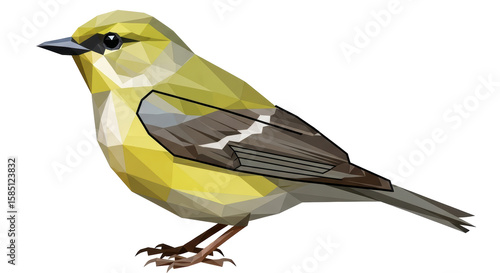 Isolated Low Poly Bird