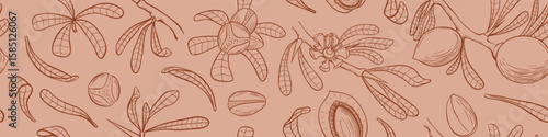 Seamless pattern with argan tree parts. Leaves, nuts and branches. Cosmetic floral background. Vector illustration.