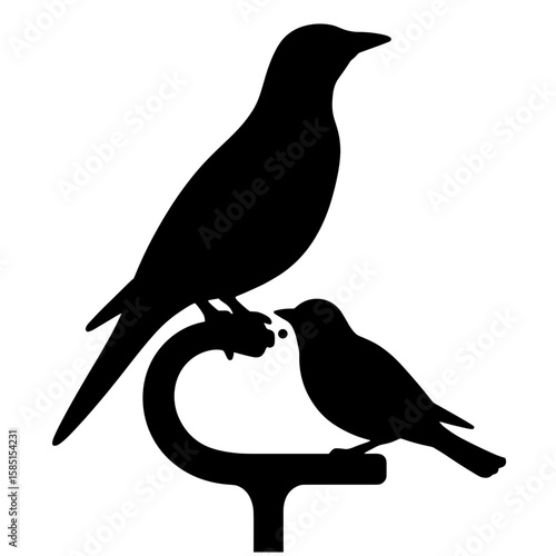 Silhouette of birds on perch – Interactive foraging, aerial dexterity