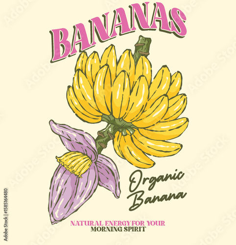 Fruits of the spirit. Vintage banana art. Summer food poster design. Banana fruit set. Nature fruit club print design. Organic food artwork for for t shirt and poster. Puerto rico.