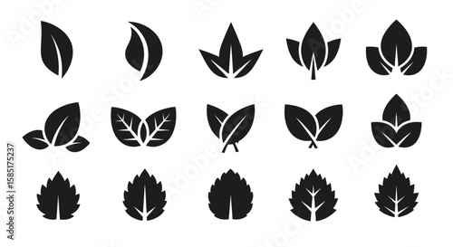 Leaf Collection Icons: A curated collection of stylized leaf icons, symbolizing nature's grace and organic forms. These minimalist designs are perfect for illustrating concepts related to ecology.