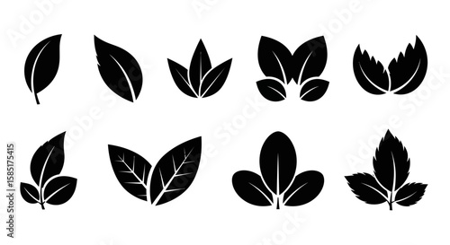 Leaves: A collection of stylised black leaves, each with unique designs and shapes, on a minimalistic background. The image is perfect for illustrating themes of nature, ecology, and organic design. 