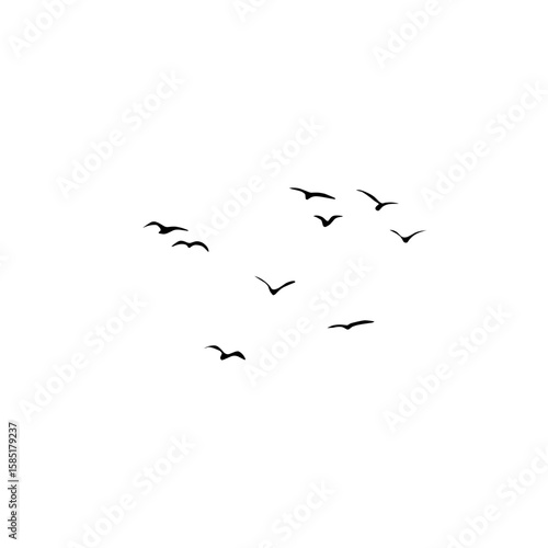 Minimalist birds flying vector