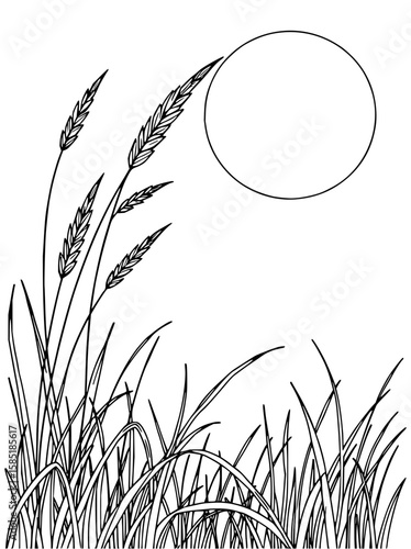 Minimilist illustration of tall grass and grain stalks with a large circle in the background design element vector