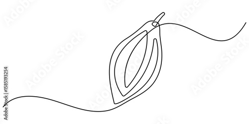 Continuous one line colorful cacao beans branch with leaves isolated on white background. Simple vegetable silhouette. Hand drawn cacao beans branch outline. Vector illustration. 