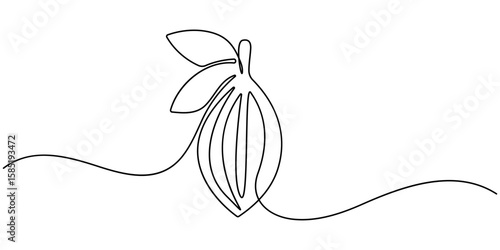 Continuous one line colorful cacao beans branch with leaves isolated on white background. Simple vegetable silhouette. Hand drawn cacao beans branch outline. Vector illustration. 