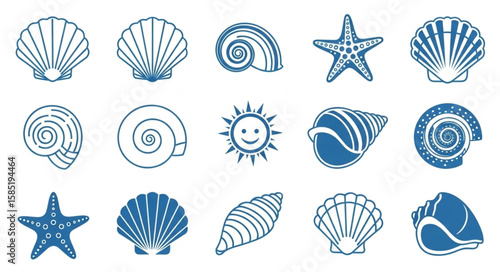 An illustration showing various seashells, starfish and a sun icon in blue on a white background