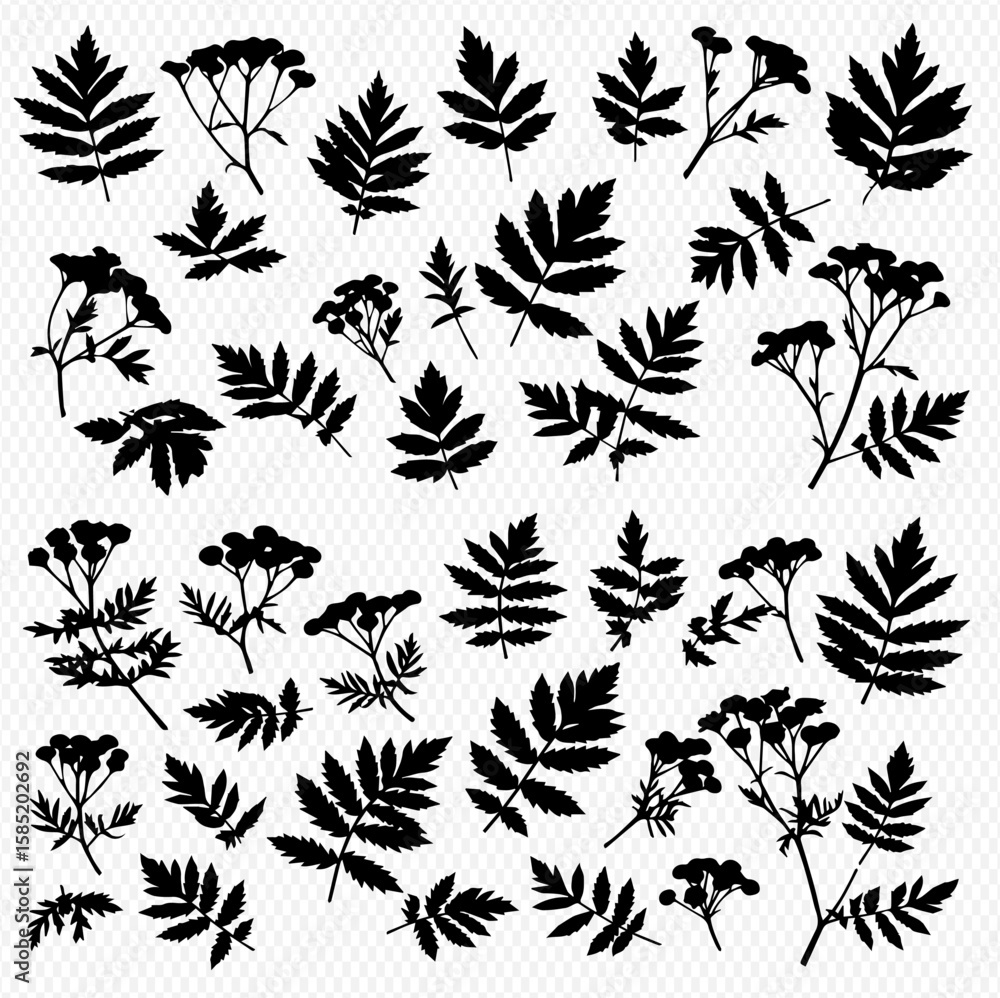 Fototapeta premium Collection of various plant silhouettes including leaves, branches, and flower clusters arranged on a light background.