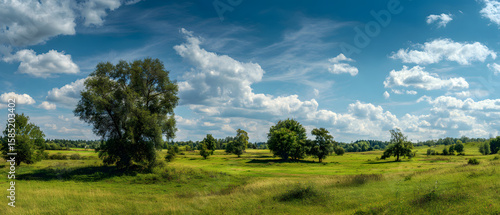 Landscape in summer with trees and meadows in bright sunshine