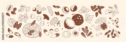 Outline set of different nuts. Hand drawn healthy food with shell: walnut, peanut, cashew, almond. Crunchy snacks: pistachio, sunflower seeds, hazelnut. Flat isolated drawing vector illustrations