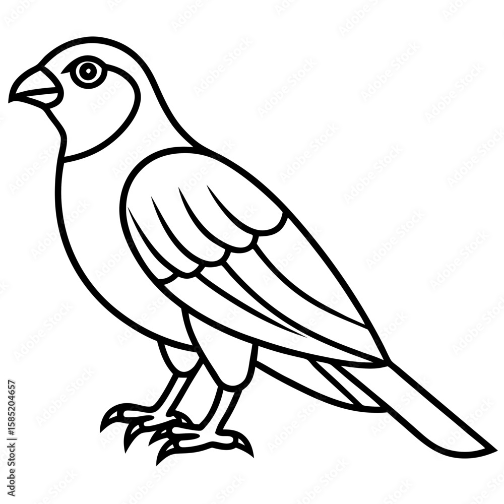 Line Art Sparrowhawk Silhouette Line Art Sparrowhawk Silhouette