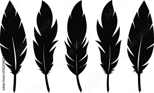 Feather icon vector illustration set  