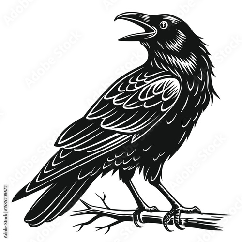 A Detailed Illustration of a Black Raven Perched on a Branch with Open Beak