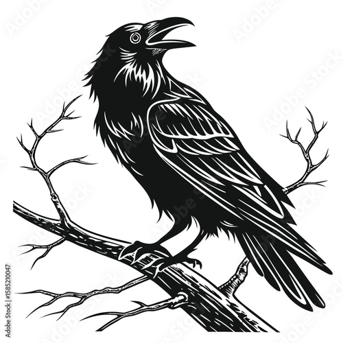 Mysterious Black Bird Perched on a Bare Winter Tree Branch