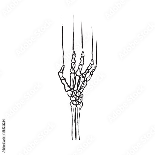 Skeleton hand is scratching the wall in black brush stroke texture isolated on white. Hand drawn vector sketch illustration in vintage charcoal ink. Horror logo design, quest room, happy Halloween