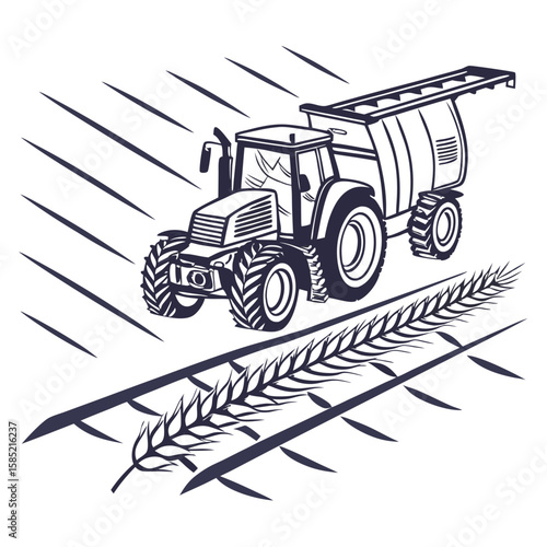 Tractor harvesting wheat in a field harvester agriculture