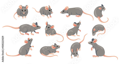 Mouse animal. Cute cartoon laboratory mouse and rat characters, funny gray rodent wildlife fauna zoo creatures in different poses. Vector mice and rats flat set