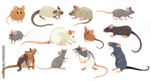 Rat collection. Cartoon cute mice and rats, adorable small comic different rodent characters, flat mice and rats home pets. Vector isolated characters set