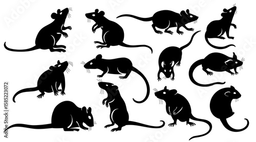 Rat silhouette. Black mice flat icons, wild and domestic rodent animal pictogram, laboratory lab pet and pest concept. Vector isolated collection