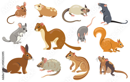Rodents collection. Cartoon cute small mammals, guinea pig, hamster, rat, mouse, chipmunk, hare and squirrel, domestic rodent animals and home pets. Vector set