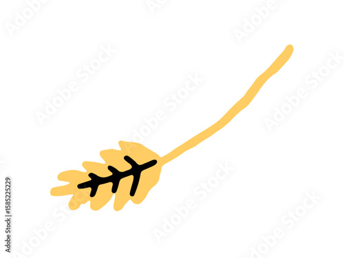 Golden wheat spikelet with grains. Dry ear of cereal with seeds. Stem, stalk of agriculture crop. Autumn harvest from farm field. Flat isolated hand drawn vector illustration on white background