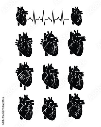 Anatomical Heart Illustrations Displayed with EKG Reading in a Grid Pattern on White