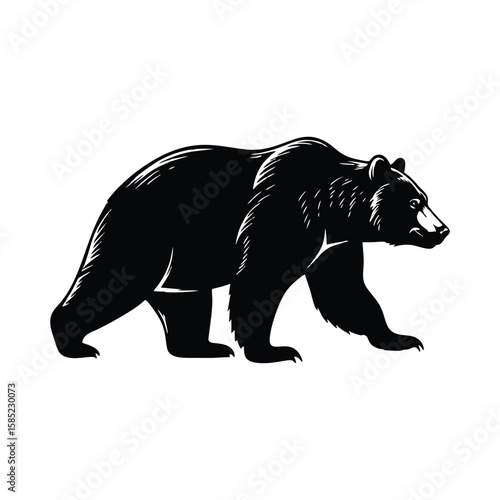 Black bear silhouette walking on white background is a great wildlife illustration