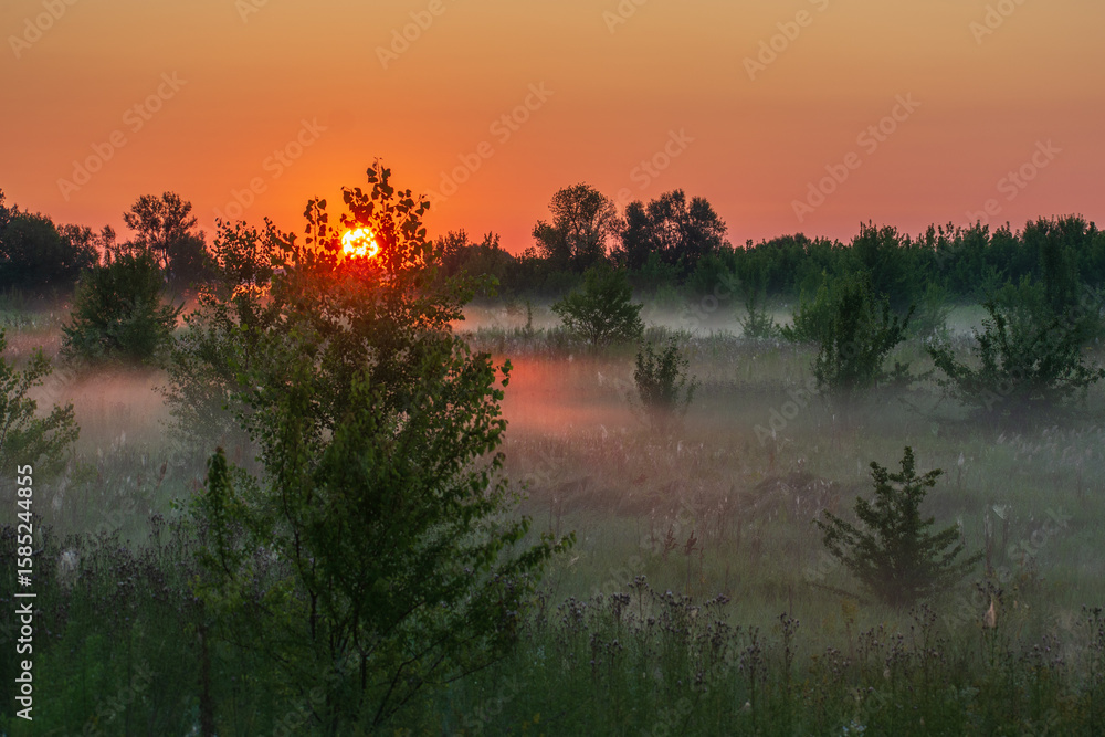 Obraz premium rising sun over the foggy field