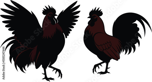 Two Roosters Standing Proudly with Plumage and Sharp Spurs Depicted in Artistic Rendition on a White Background