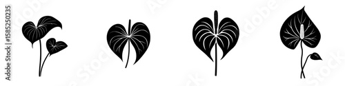 Black icons featuring various leaf designs showcasing natural beauty and artistry