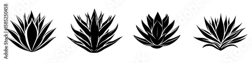 Stylized black icons of agave plants with distinct shapes and details showcasing varying artistic interpretations