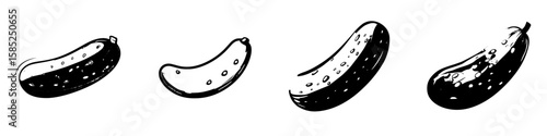 Variety of cucumber illustrations on a white background showcasing different shapes and sizes for culinary inspiration