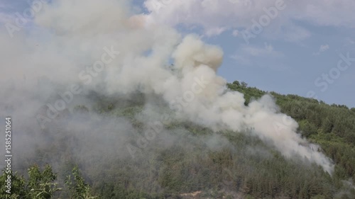Fire and smoke at forest. Disaster in nature. Ecological and environmental problem.