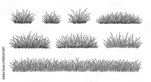 Collection of hand drawn bushy grass and shrub elements for nature designs
