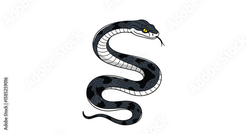 Illustration of a striking black and white snake with menacing yellow eyes and a flicking tongue