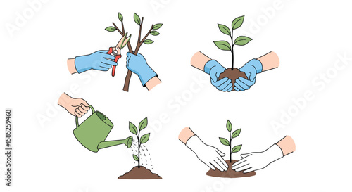Gardening techniques for plant growth and health step by step instructions