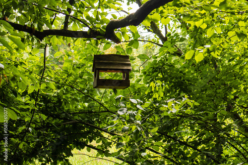 Birdcage in the park against the background of green deciduous trees