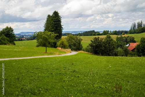 Green hills with trees, a country road and red roofs of houses