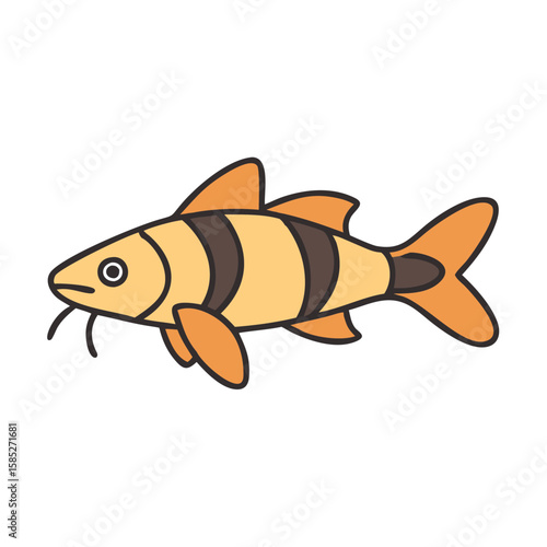 Clown loach fish illustration for aquarium fish keeping guide and fish species identification guide