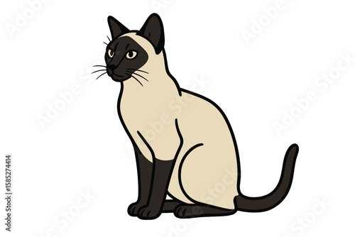 Vector Illustration of Elegant Siamese Cat